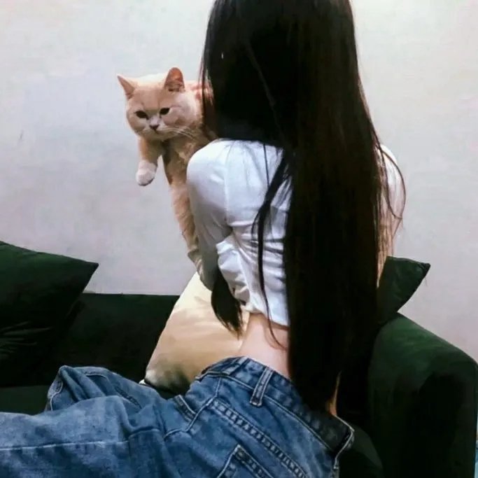枯木逢春 在线观看